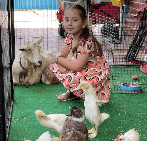 Child interacting with animals at day care